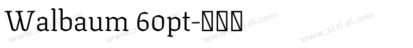 Walbaum 60pt字体转换